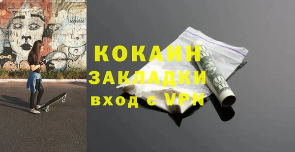 прущие грибы Абинск