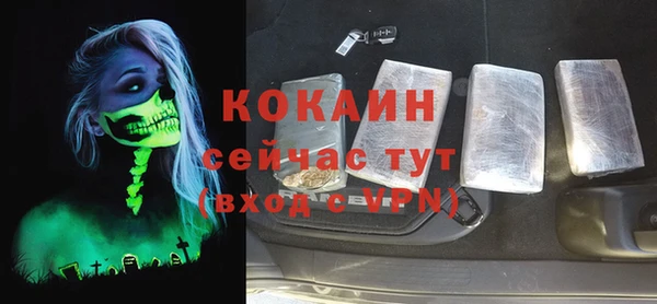 прущие грибы Абинск