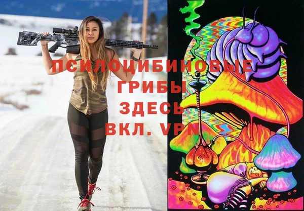 прущие грибы Абинск