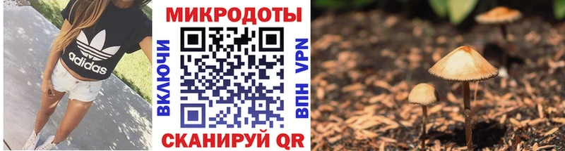 Галлюциногенные грибы Cubensis OMG как зайти Красноуфимск